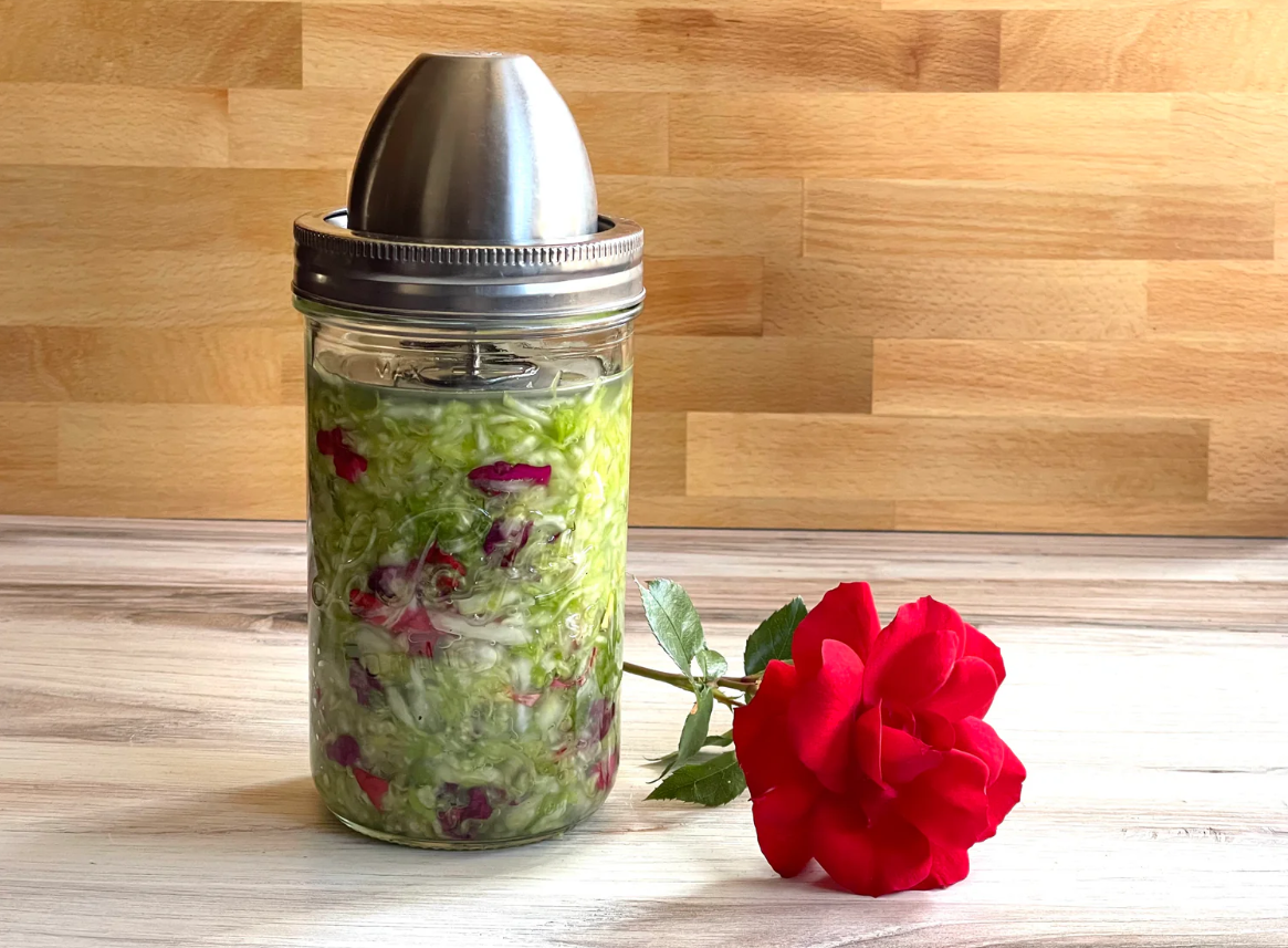 A Le Parfait jar of sauerkraut fermenting with a stainless weight and a red rose